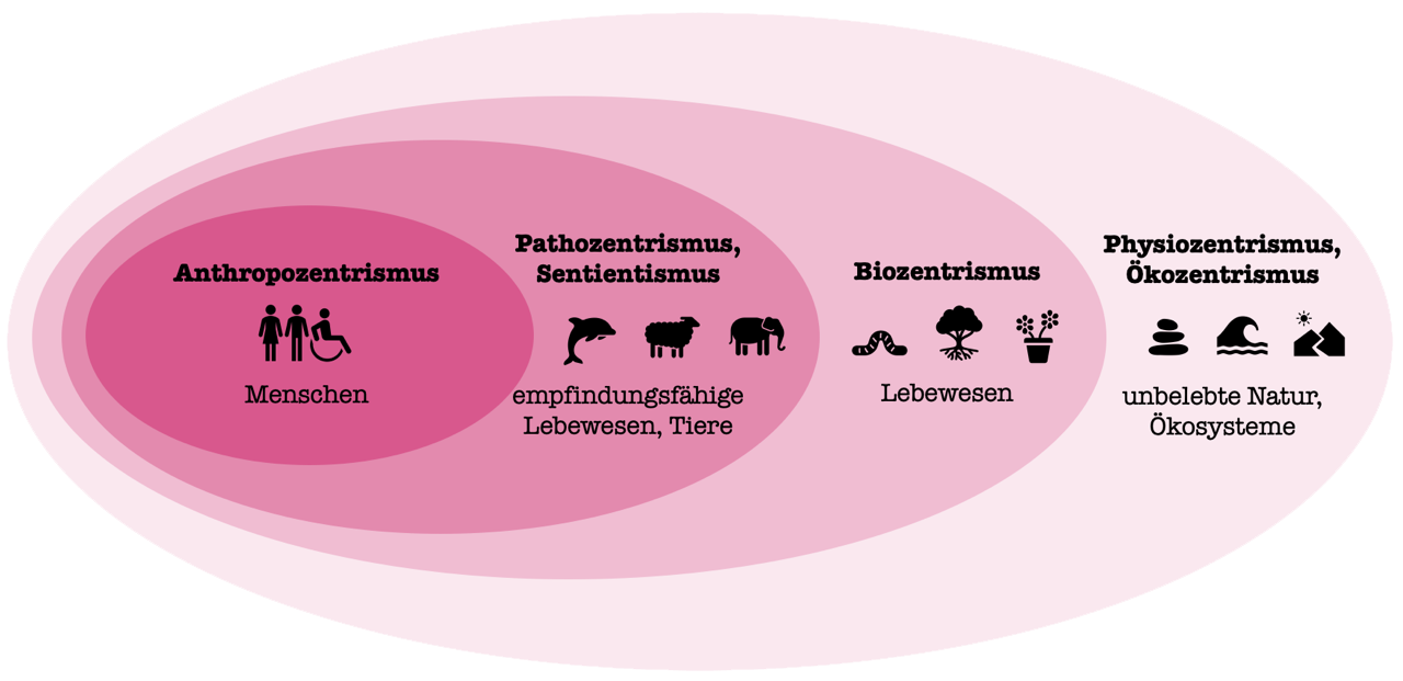 Überblick umweltethischer Positionen entlang des Inklusionsproblems (angelehnt an Birnbacher;[25] Ott et al.[26]).