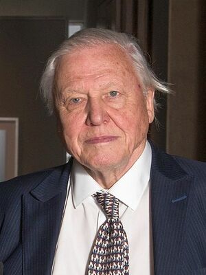 David Attenborough.jpg