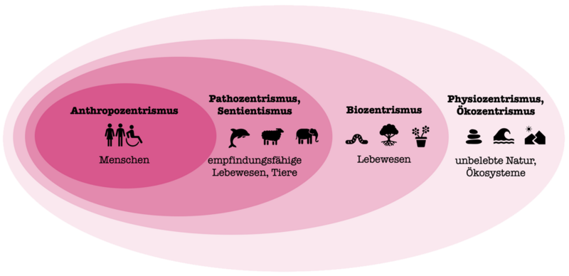 Datei:Taxonomie-Umweltethik.png