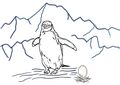 Zügelpinguin.jpg