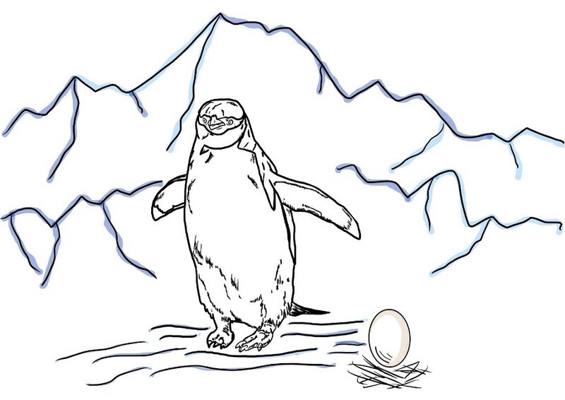 Datei:Zügelpinguin.jpg