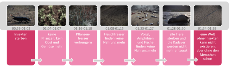 Datei:Wirkungszusammenhang Insektensterben2.png