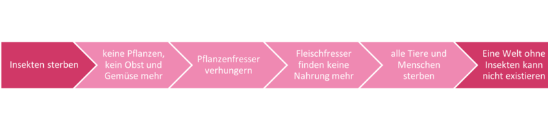 Datei:Wirkungszusammenhang Insektensterben.png